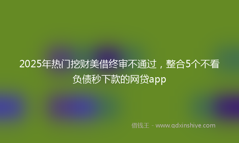 2025年热门挖财美借终审不通过，整合5个不看负债秒下款的网贷app