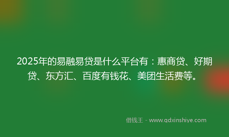 2025年的易融易贷是什么平台有：惠商贷、好期贷、东方汇、百度有钱花、美团生活费等。