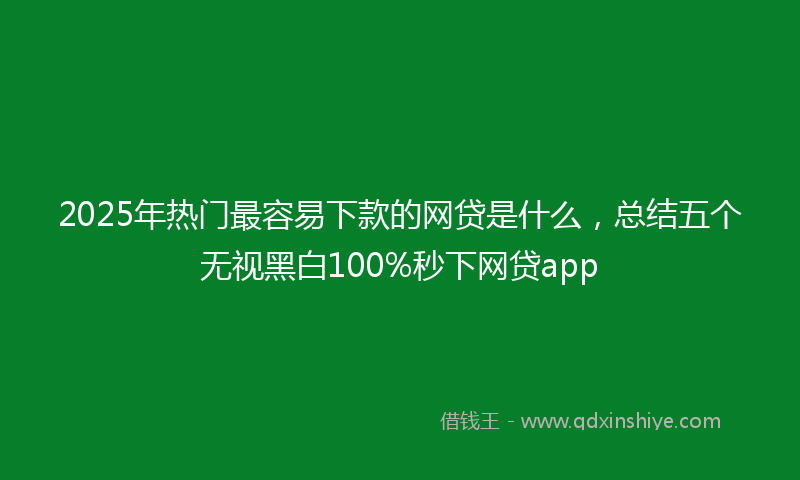 2025年热门最容易下款的网贷是什么，总结五个无视黑白100%秒下网贷app