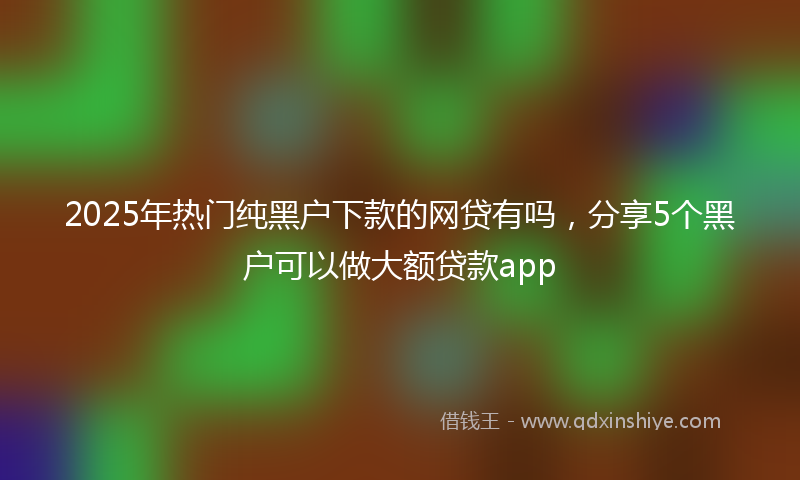 2025年热门纯黑户下款的网贷有吗，分享5个黑户可以做大额贷款app