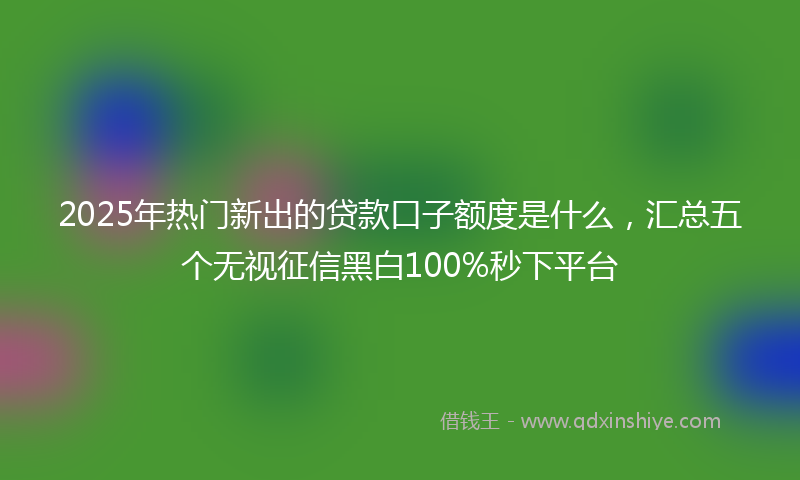 2025年热门新出的贷款口子额度是什么，汇总五个无视征信黑白100%秒下平台
