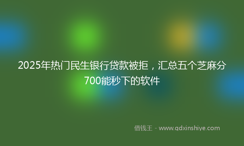 2025年热门民生银行贷款被拒，汇总五个芝麻分700能秒下的软件