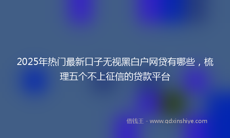 2025年热门最新口子无视黑白户网贷有哪些，梳理五个不上征信的贷款平台