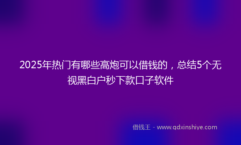 2025年热门有哪些高炮可以借钱的，总结5个无视黑白户秒下款口子软件