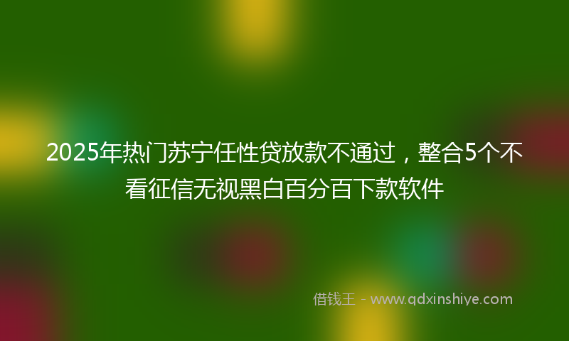 2025年热门苏宁任性贷放款不通过，整合5个不看征信无视黑白百分百下款软件