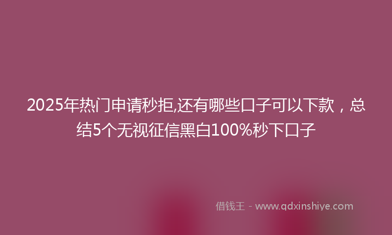 2025年热门申请秒拒,还有哪些口子可以下款，总结5个无视征信黑白100%秒下口子