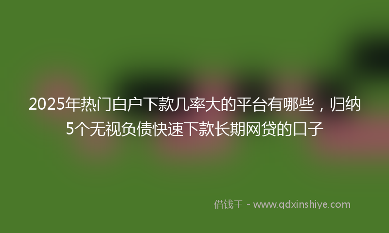 2025年热门白户下款几率大的平台有哪些，归纳5个无视负债快速下款长期网贷的口子