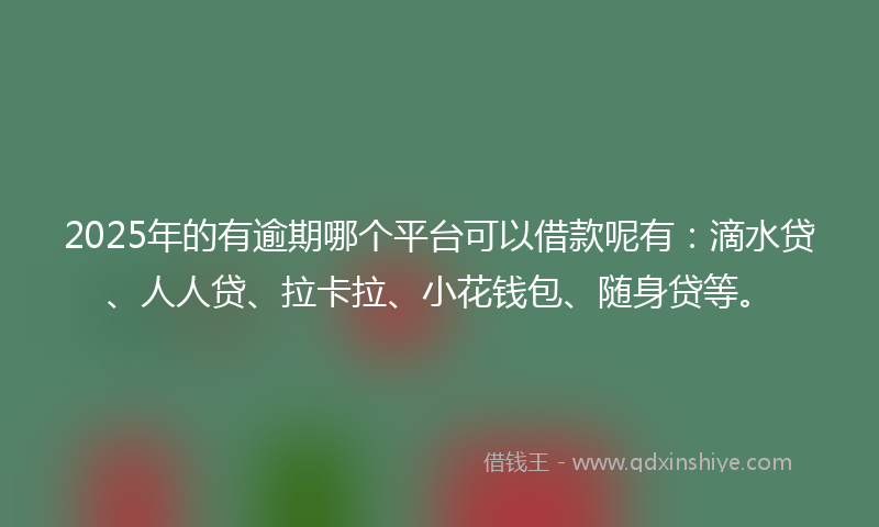 2025年的有逾期哪个平台可以借款呢有：滴水贷、人人贷、拉卡拉、小花钱包、随身贷等。