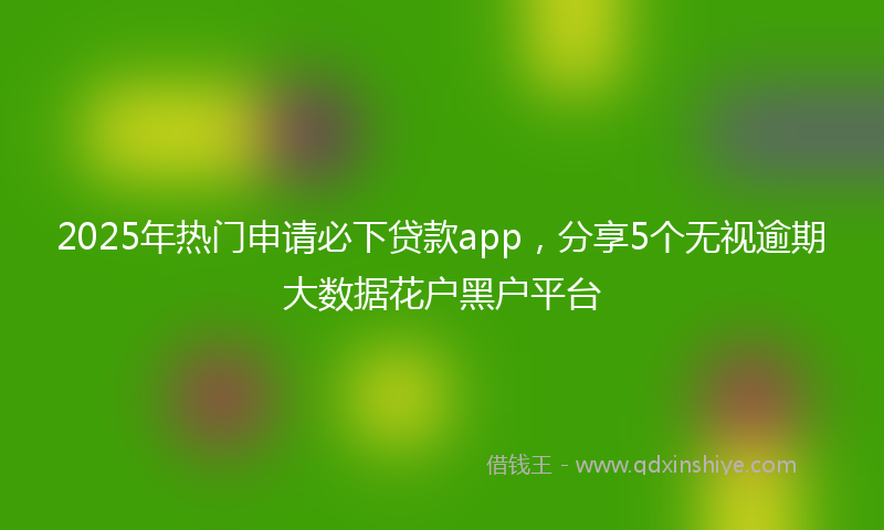 2025年热门申请必下贷款app，分享5个无视逾期大数据花户黑户平台
