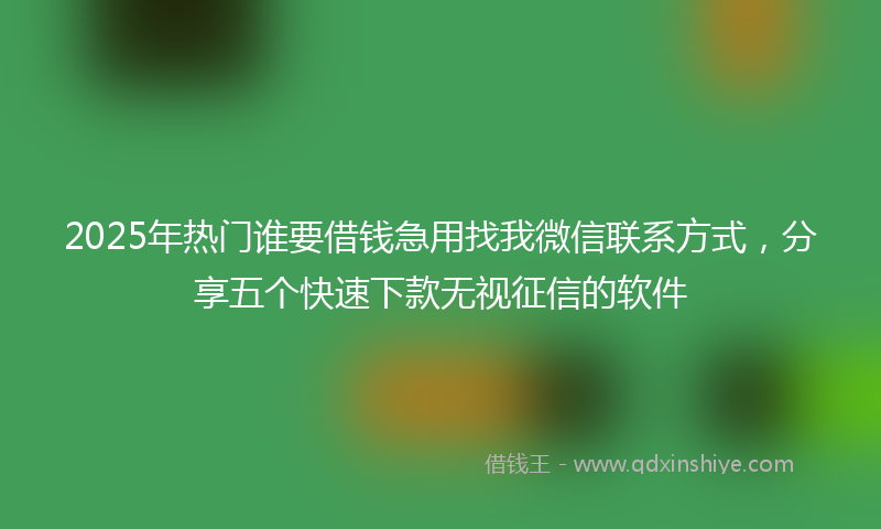 2025年热门谁要借钱急用找我微信联系方式，分享五个快速下款无视征信的软件