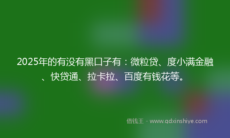 2025年的有没有黑口子有：微粒贷、度小满金融、快贷通、拉卡拉、百度有钱花等。