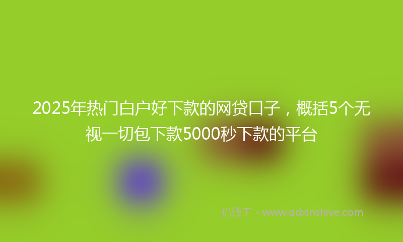 2025年热门白户好下款的网贷口子，概括5个无视一切包下款5000秒下款的平台
