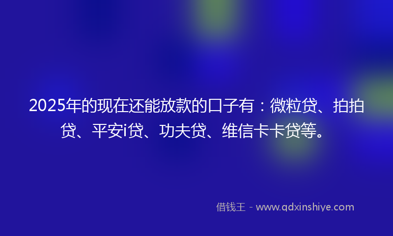 2025年的现在还能放款的口子有：微粒贷、拍拍贷、平安i贷、功夫贷、维信卡卡贷等。