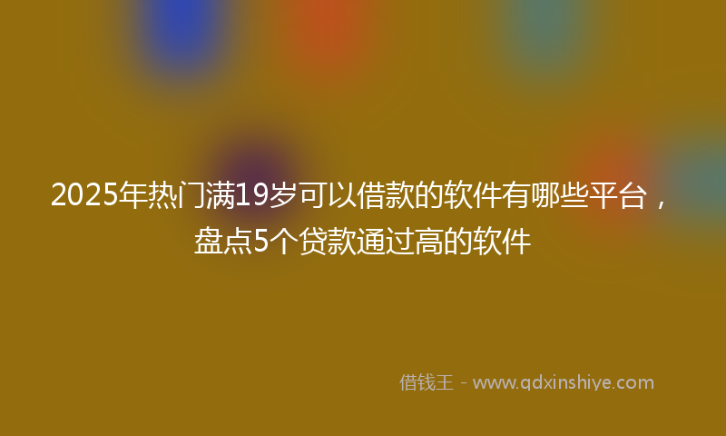 2025年热门满19岁可以借款的软件有哪些平台，盘点5个贷款通过高的软件
