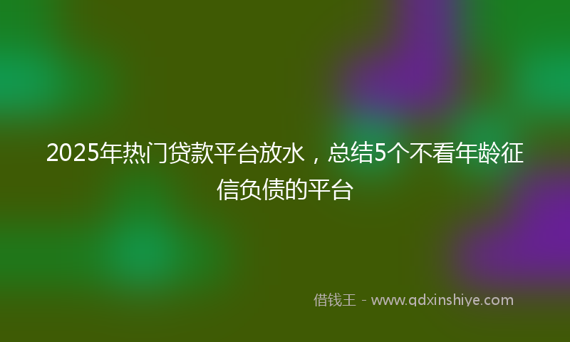 2025年热门贷款平台放水，总结5个不看年龄征信负债的平台