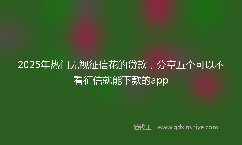 2025年热门无视征信花的贷款，分享五个可以不看征信就能下款的app