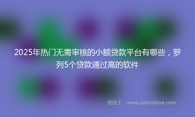 2025年热门无需审核的小额贷款平台有哪些，罗列5个贷款通过高的软件