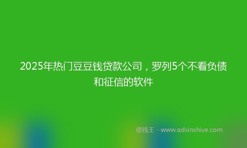 2025年热门豆豆钱贷款公司，罗列5个不看负债和征信的软件
