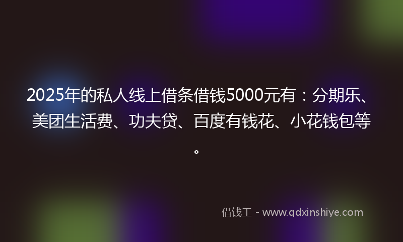 2025年的私人线上借条借钱5000元有：分期乐、美团生活费、功夫贷、百度有钱花、小花钱包等。