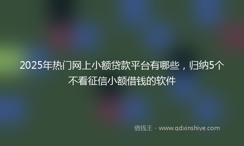 2025年热门网上小额贷款平台有哪些，归纳5个不看征信小额借钱的软件
