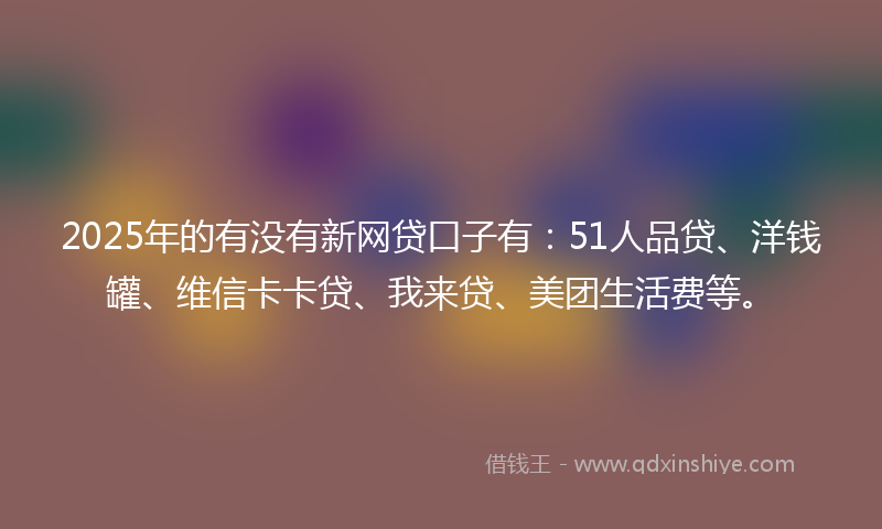 2025年的有没有新网贷口子有：51人品贷、洋钱罐、维信卡卡贷、我来贷、美团生活费等。
