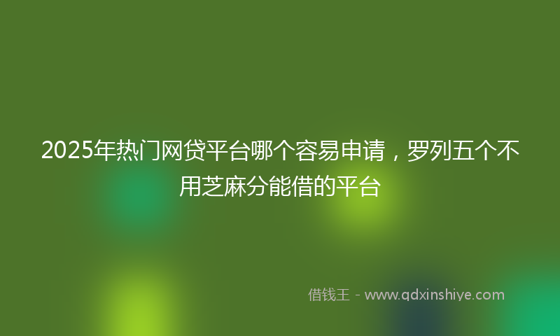 2025年热门网贷平台哪个容易申请，罗列五个不用芝麻分能借的平台