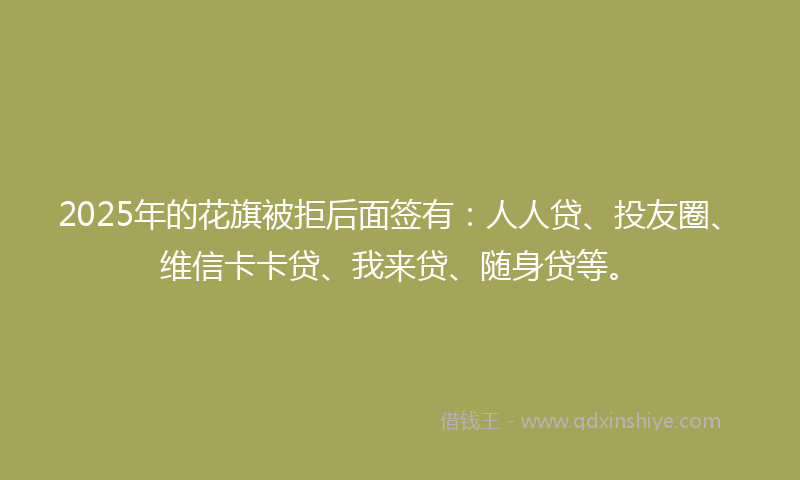2025年的花旗被拒后面签有：人人贷、投友圈、维信卡卡贷、我来贷、随身贷等。