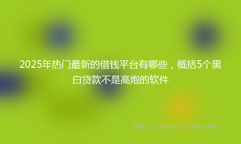 2025年热门最新的借钱平台有哪些，概括5个黑白贷款不是高炮的软件
