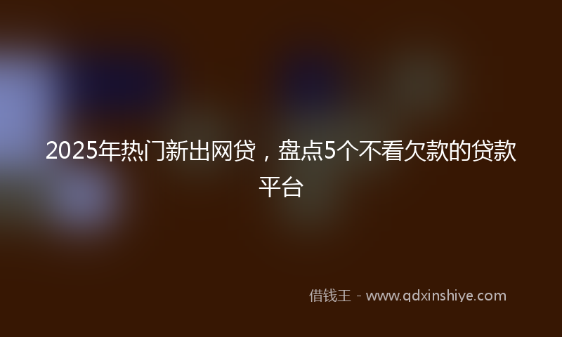 2025年热门新出网贷，盘点5个不看欠款的贷款平台