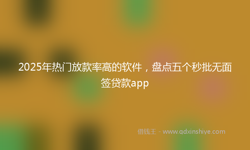 2025年热门放款率高的软件，盘点五个秒批无面签贷款app
