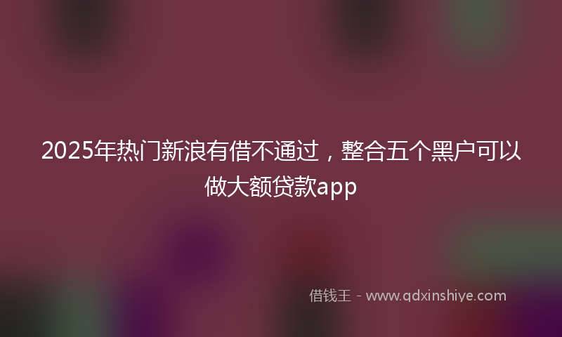 2025年热门新浪有借不通过，整合五个黑户可以做大额贷款app