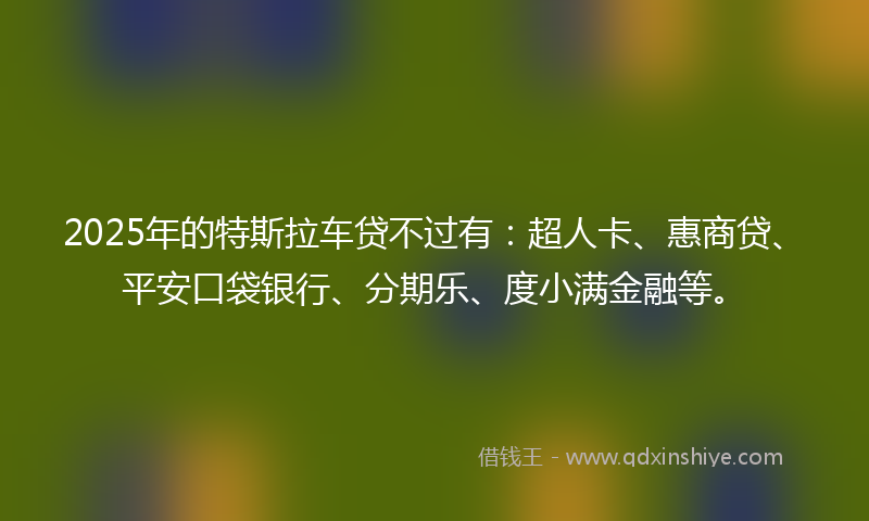 2025年的特斯拉车贷不过有：超人卡、惠商贷、平安口袋银行、分期乐、度小满金融等。