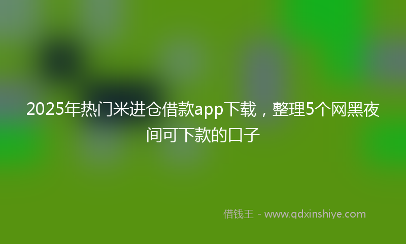 2025年热门米进仓借款app下载，整理5个网黑夜间可下款的口子