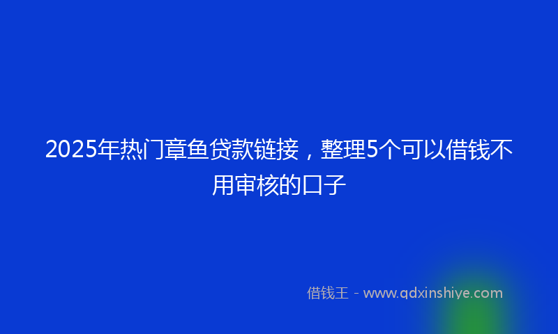 2025年热门章鱼贷款链接，整理5个可以借钱不用审核的口子