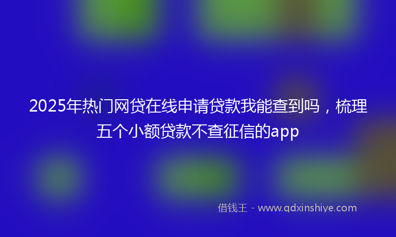 2025年热门网贷在线申请贷款我能查到吗，梳理五个小额贷款不查征信的app