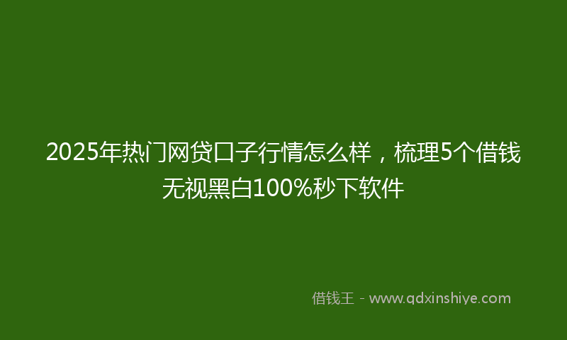 2025年热门网贷口子行情怎么样，梳理5个借钱无视黑白100%秒下软件