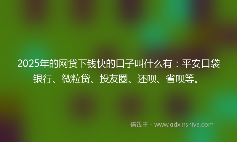 2025年的网贷下钱快的口子叫什么有：平安口袋银行、微粒贷、投友圈、还呗、省呗等。