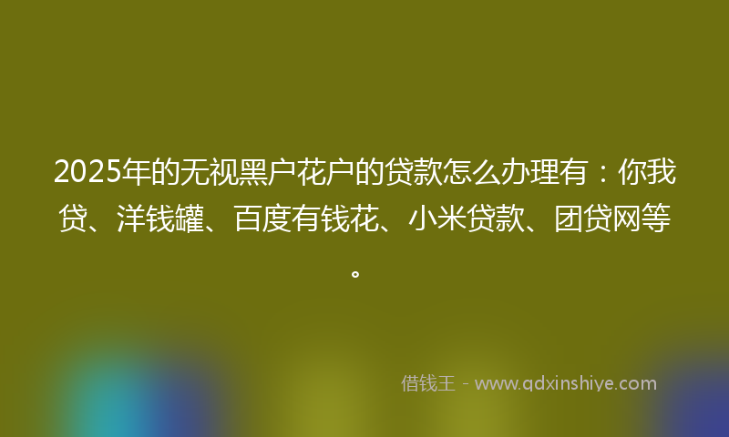 2025年的无视黑户花户的贷款怎么办理有：你我贷、洋钱罐、百度有钱花、小米贷款、团贷网等。