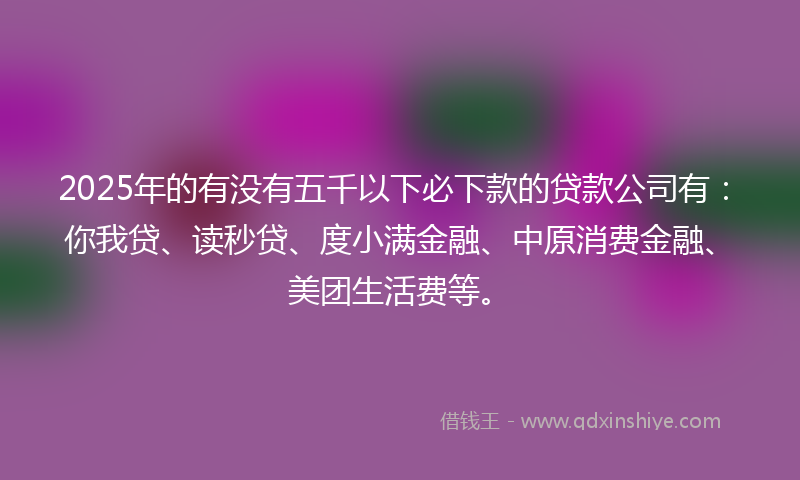 2025年的有没有五千以下必下款的贷款公司有：你我贷、读秒贷、度小满金融、中原消费金融、美团生活费等。