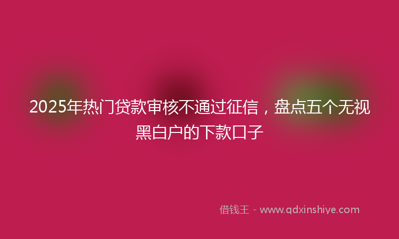 2025年热门贷款审核不通过征信，盘点五个无视黑白户的下款口子