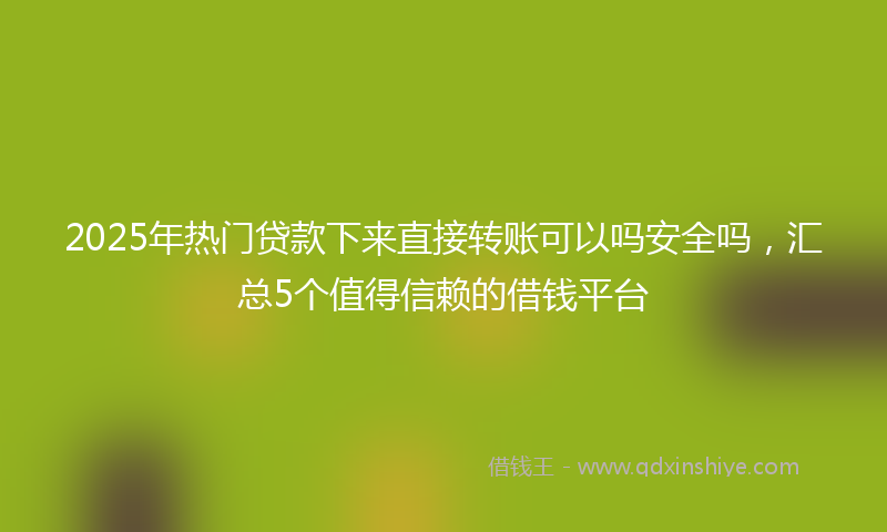 2025年热门贷款下来直接转账可以吗安全吗，汇总5个值得信赖的借钱平台