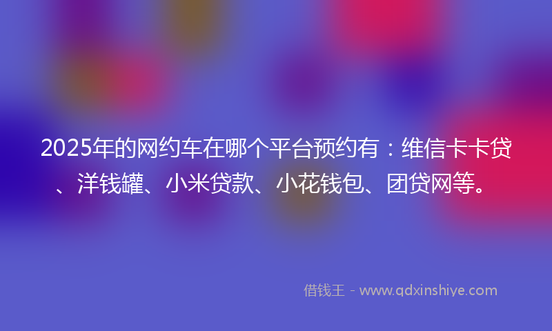 2025年的网约车在哪个平台预约有：维信卡卡贷、洋钱罐、小米贷款、小花钱包、团贷网等。