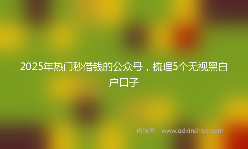 2025年热门秒借钱的公众号，梳理5个无视黑白户口子