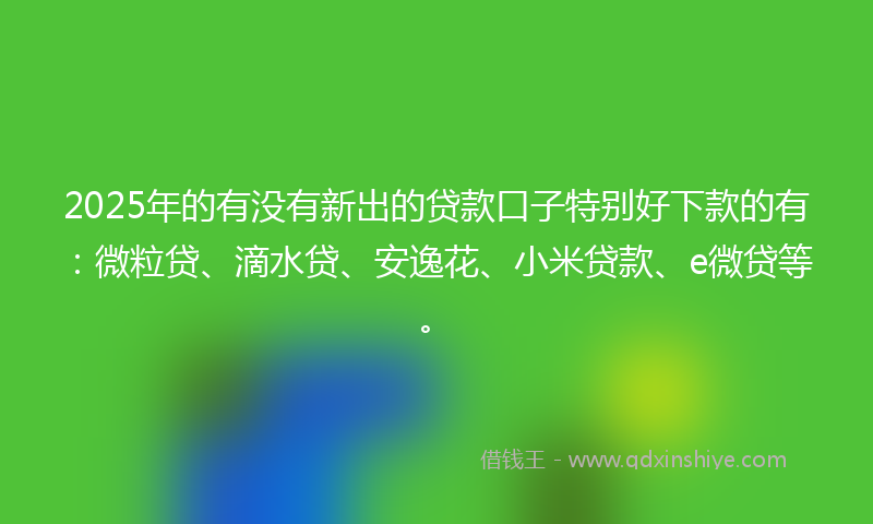 2025年的有没有新出的贷款口子特别好下款的有：微粒贷、滴水贷、安逸花、小米贷款、e微贷等。