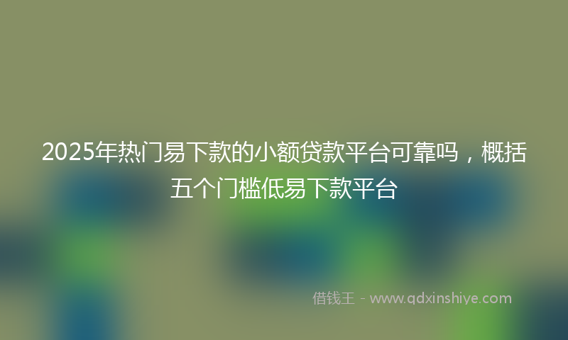 2025年热门易下款的小额贷款平台可靠吗，概括五个门槛低易下款平台