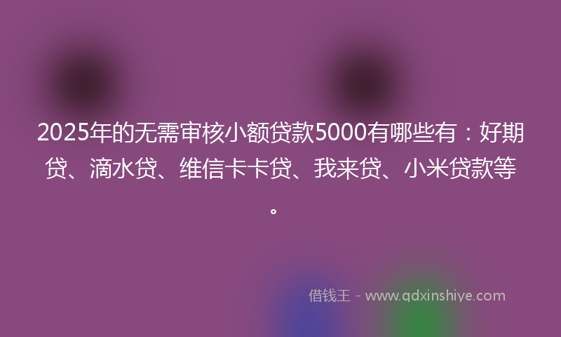 2025年的无需审核小额贷款5000有哪些有：好期贷、滴水贷、维信卡卡贷、我来贷、小米贷款等。
