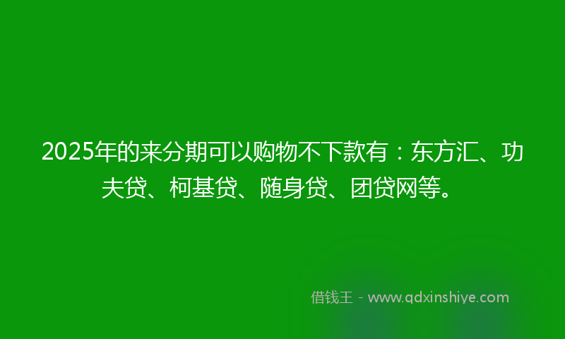 2025年的来分期可以购物不下款有：东方汇、功夫贷、柯基贷、随身贷、团贷网等。