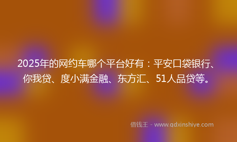 2025年的网约车哪个平台好有：平安口袋银行、你我贷、度小满金融、东方汇、51人品贷等。