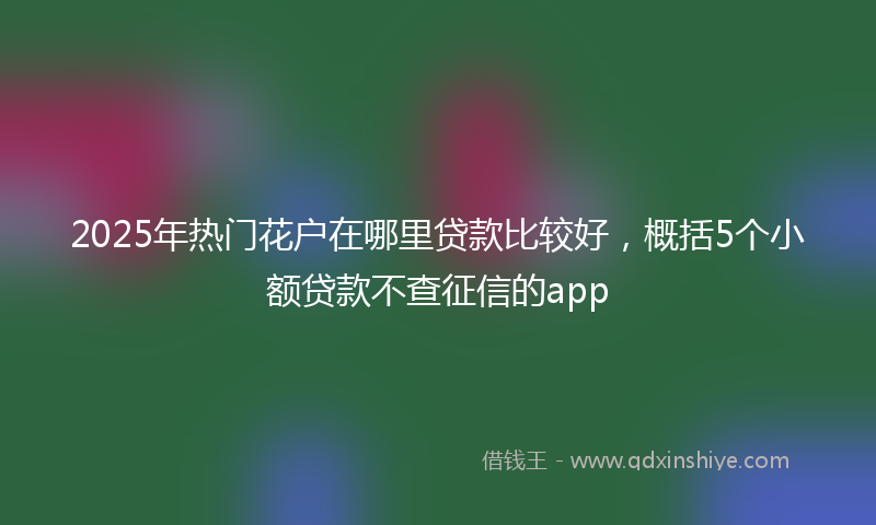 2025年热门花户在哪里贷款比较好，概括5个小额贷款不查征信的app