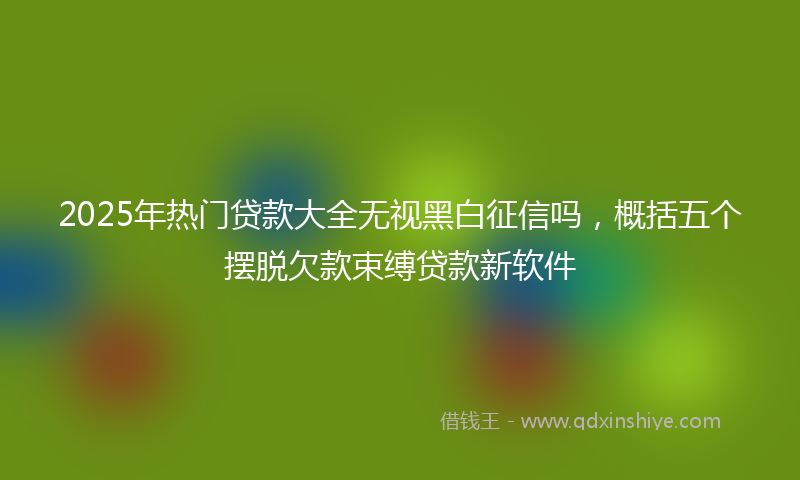2025年热门贷款大全无视黑白征信吗，概括五个摆脱欠款束缚贷款新软件